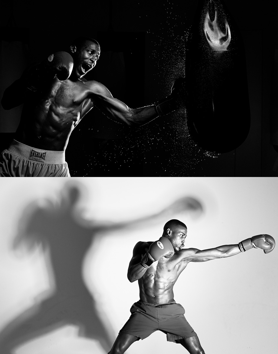 Diptych of Boxer